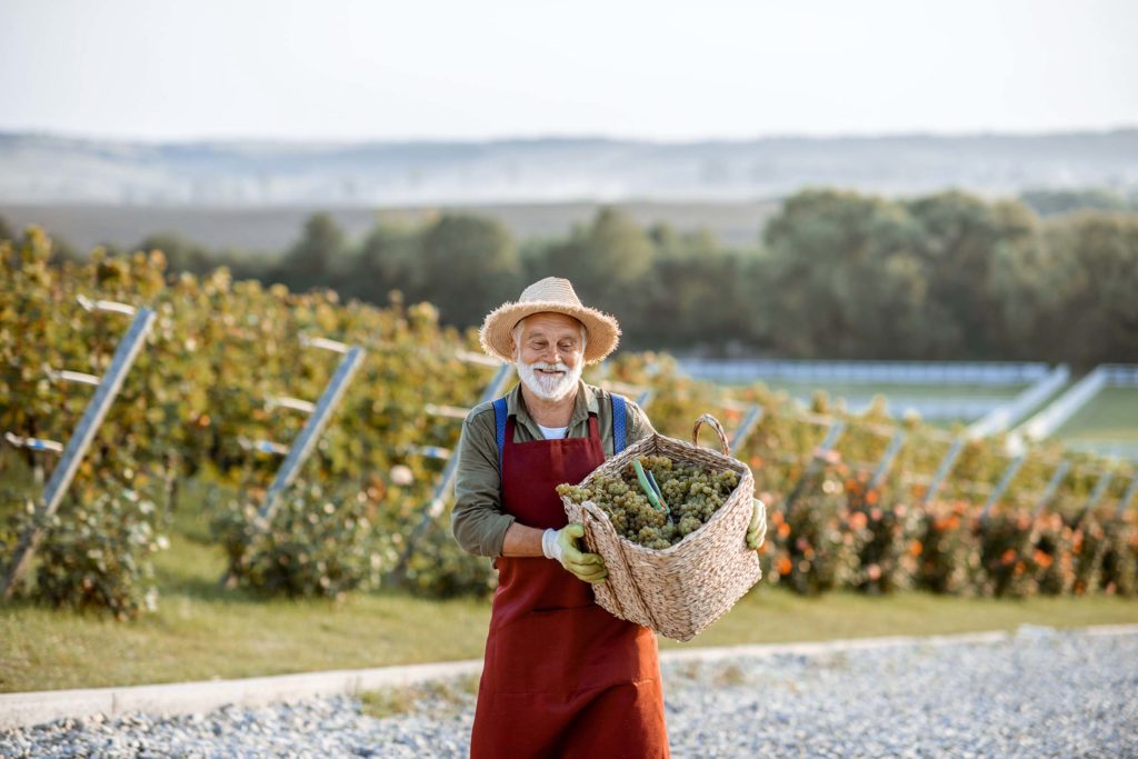 A Guide to Italian Wine for Beginners