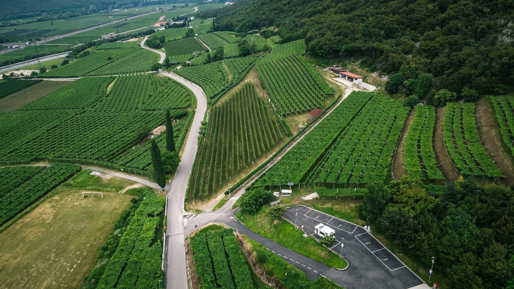 Aerial view of vineyard in Italy