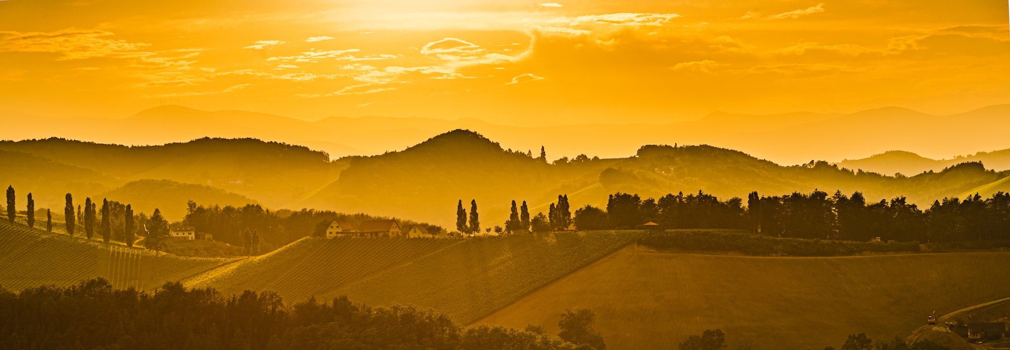 Vineyards in Austria south Styria, wine country,